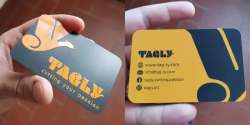 2-bdv-tagly
